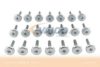 BMW 24117552108KIT2 Screws Assortment